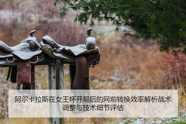 a-er-ka-la-si-zai-nv-wang-bei-kai-ju-hou-de-wang-qian-zhuan-huan-xiao-lv-jie-xi-zhan-shu-tiao-zheng-yu-ji-shu-xi-jie-1-860.jpg